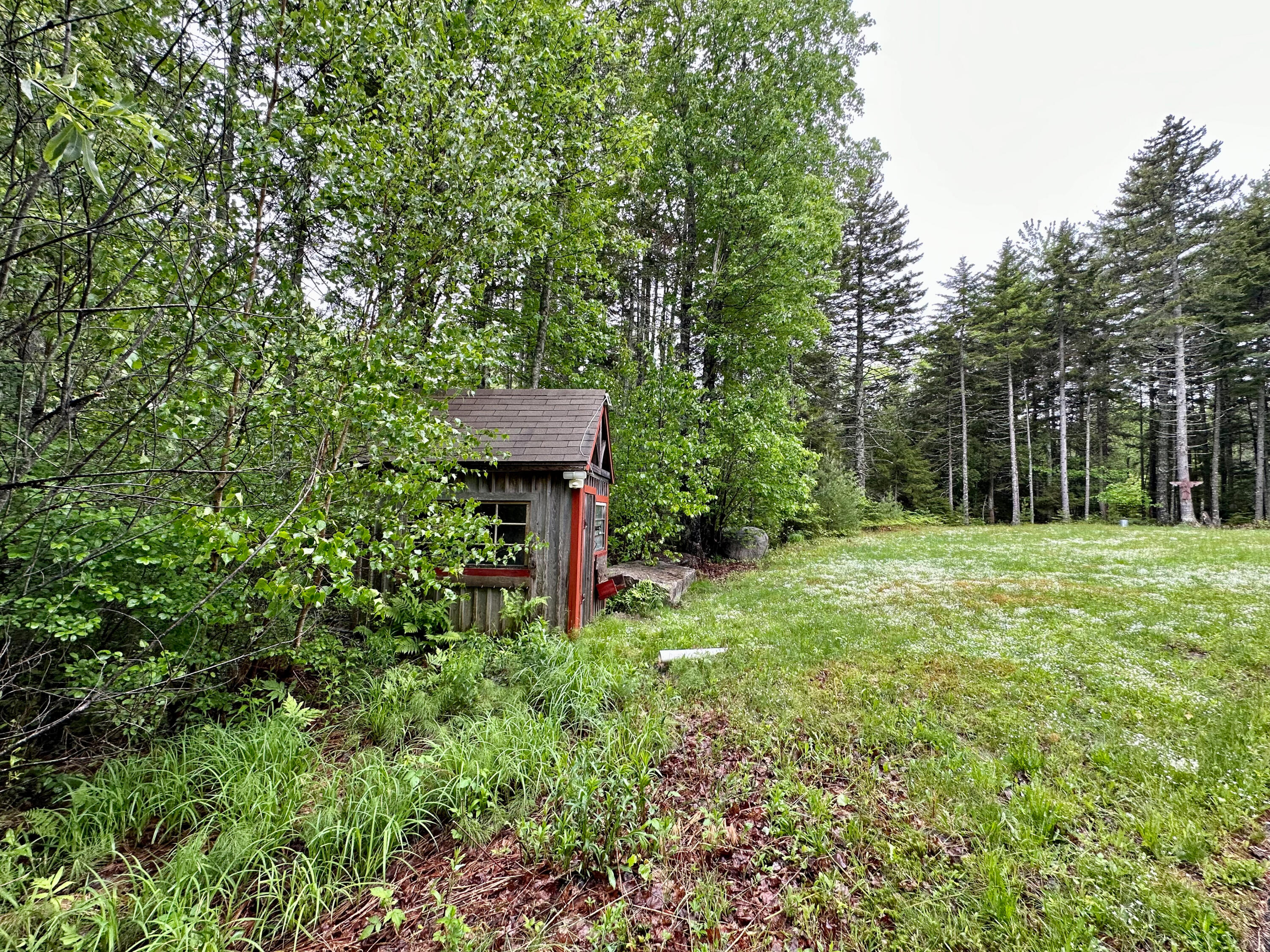 441 Morgan Bay Road Surry, ME 04684 - Photo 59 of 67 IMG_4557