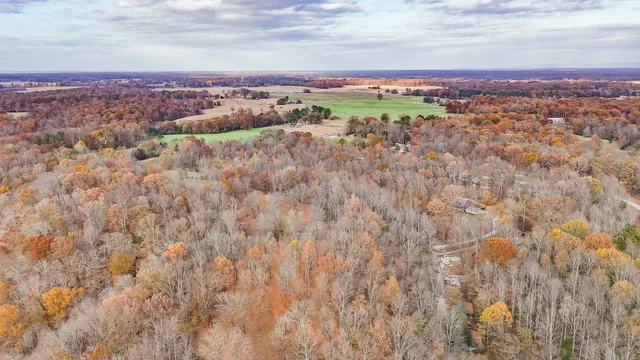 a view of a pathway with a yard