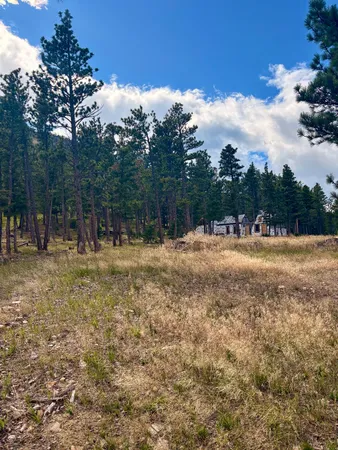 $259,000 | 4535 Little Wolf Creek Road, Wolf Creek, MT 59648