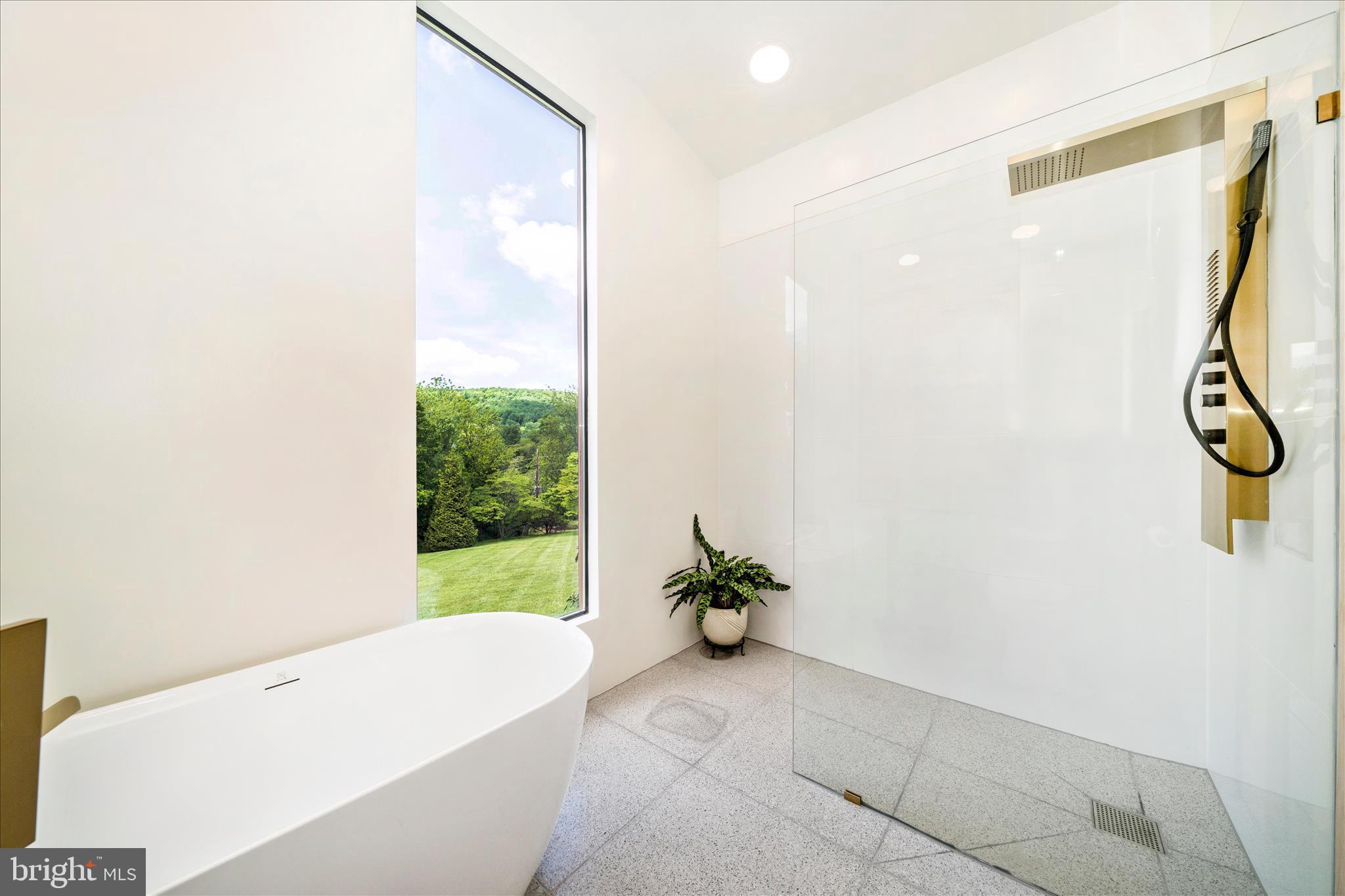 9237 Frostown Road Middletown, MD 21769 - Photo 54 of 113 Open shower with terrazo floors and soaking tub