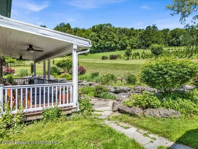 a view of a chair and table in the garden