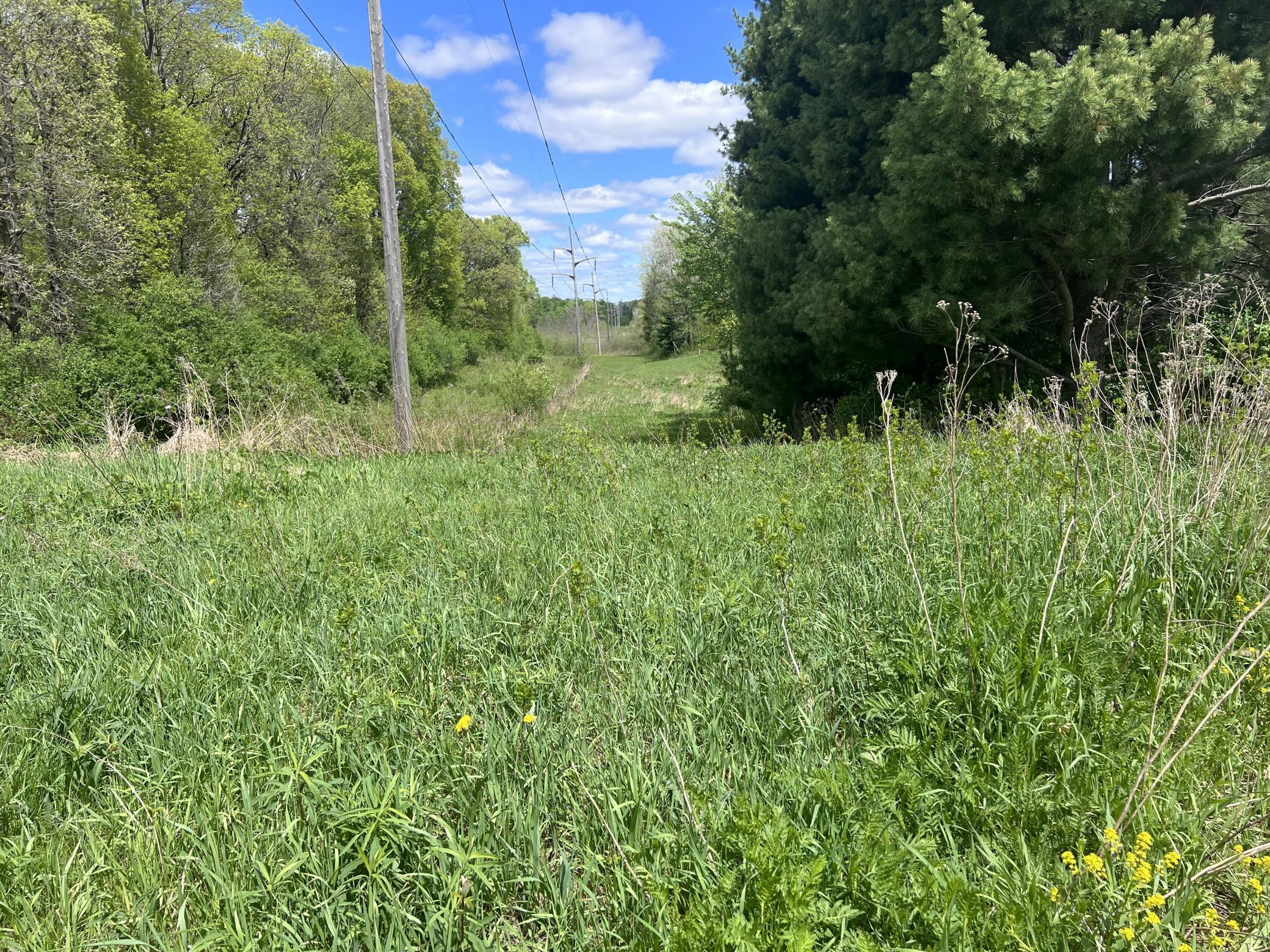 Tbd Tbd County Line Avenue Clear Lake, WI 54005 - Photo 11 of 11