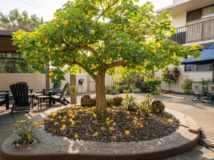 $365,000 | 75-5709 Kalawa Street, Unit D2, Kailua-Kona, HI 96740