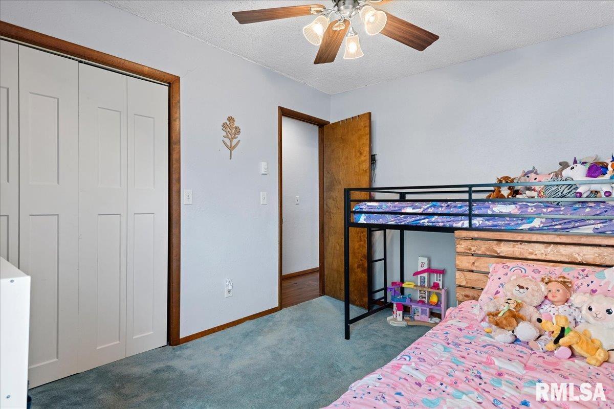 1219 7th Street Pawnee, IL 62558 - Photo 25 of 38