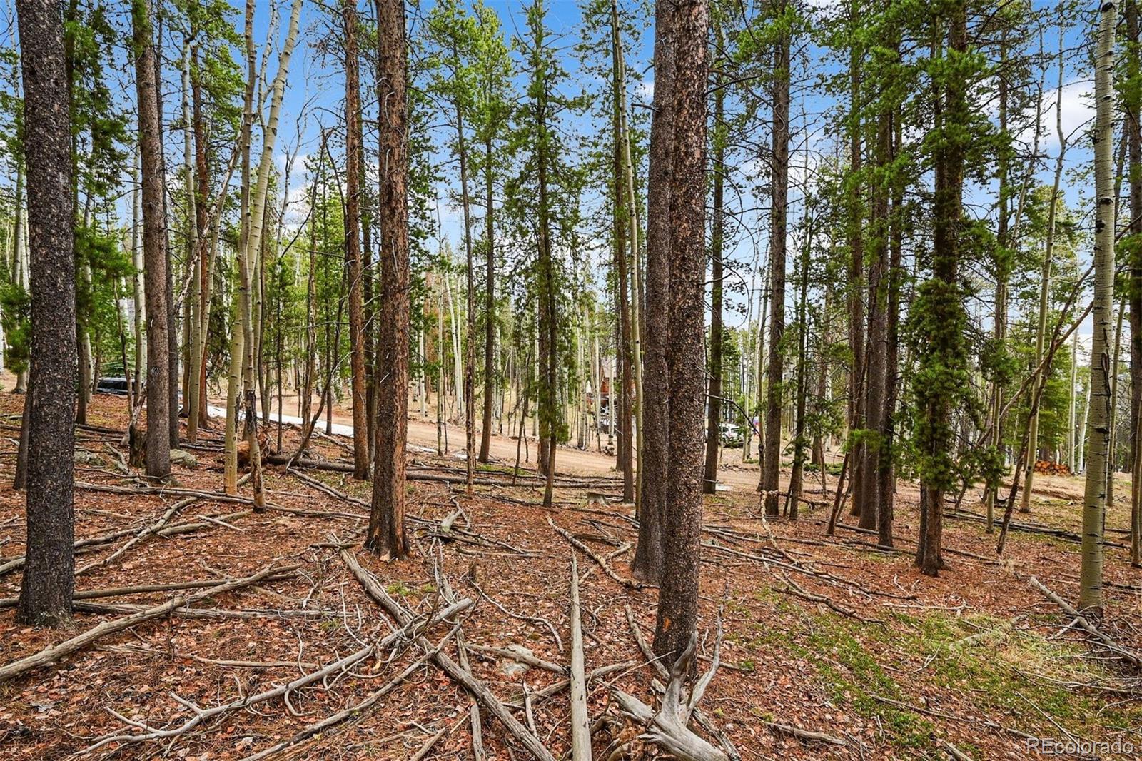 Ute Trail Evergreen, CO 80439 - Photo 15 of 16