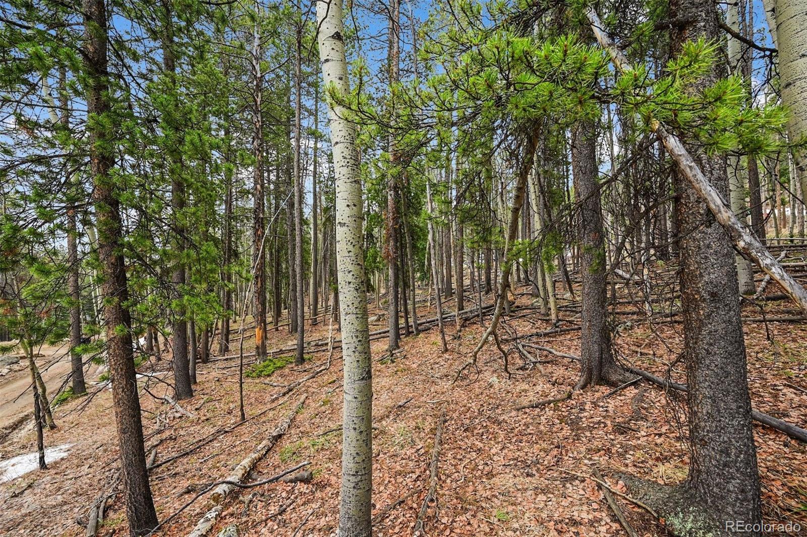 Ute Trail Evergreen, CO 80439 - Photo 16 of 16