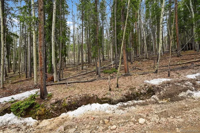 $74,000 | Ute Trail, Evergreen, CO 80439
