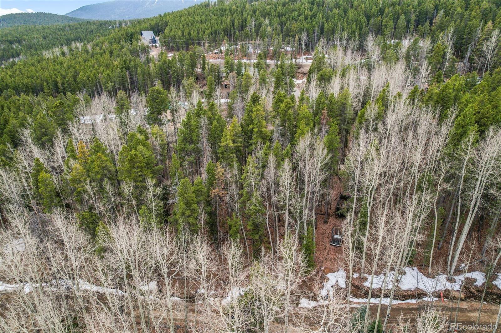 Ute Trail Evergreen, CO 80439 - Photo 5 of 16