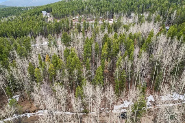 $74,000 | Ute Trail, Evergreen, CO 80439