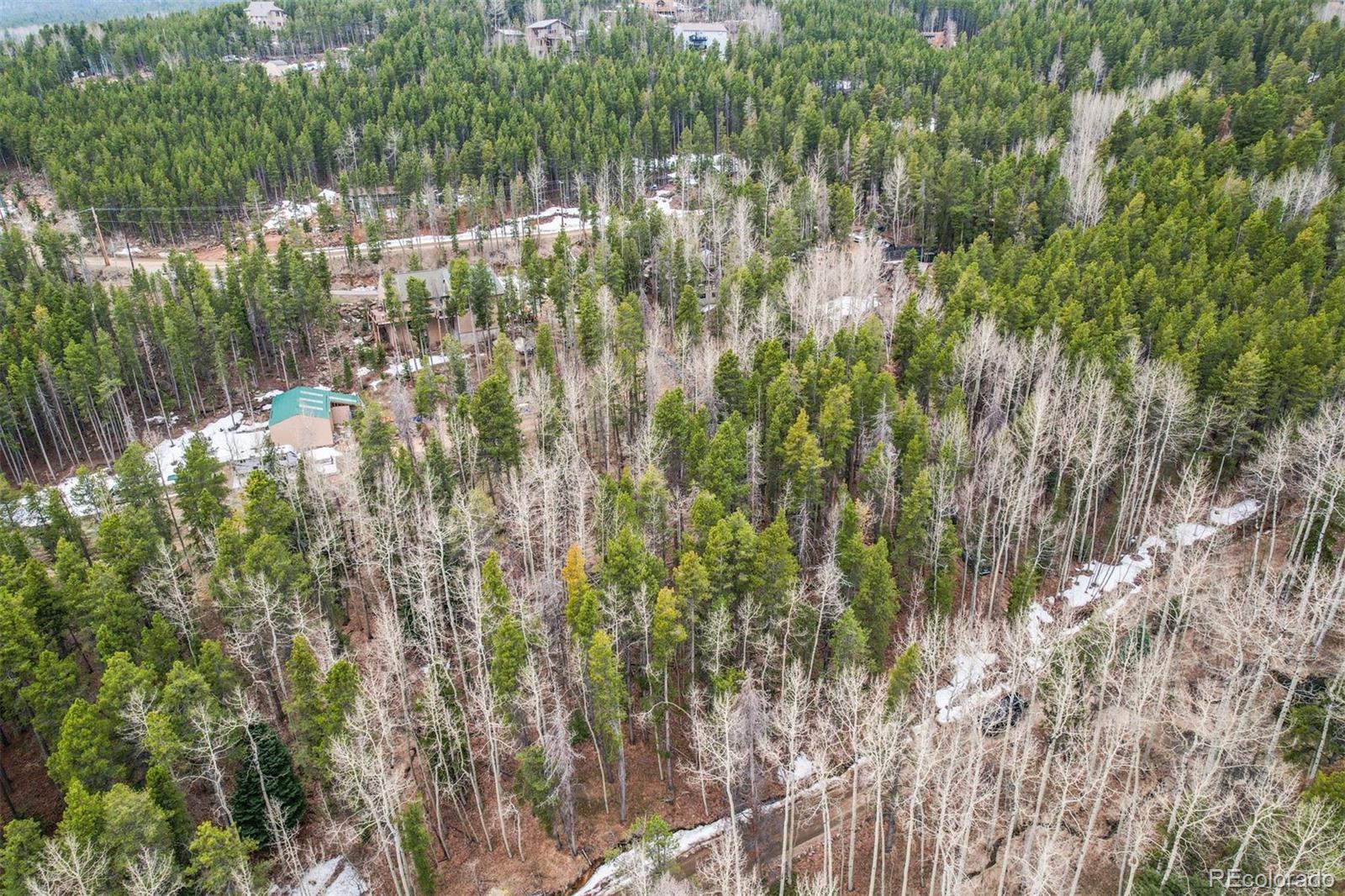 Ute Trail Evergreen, CO 80439 - Photo 7 of 16