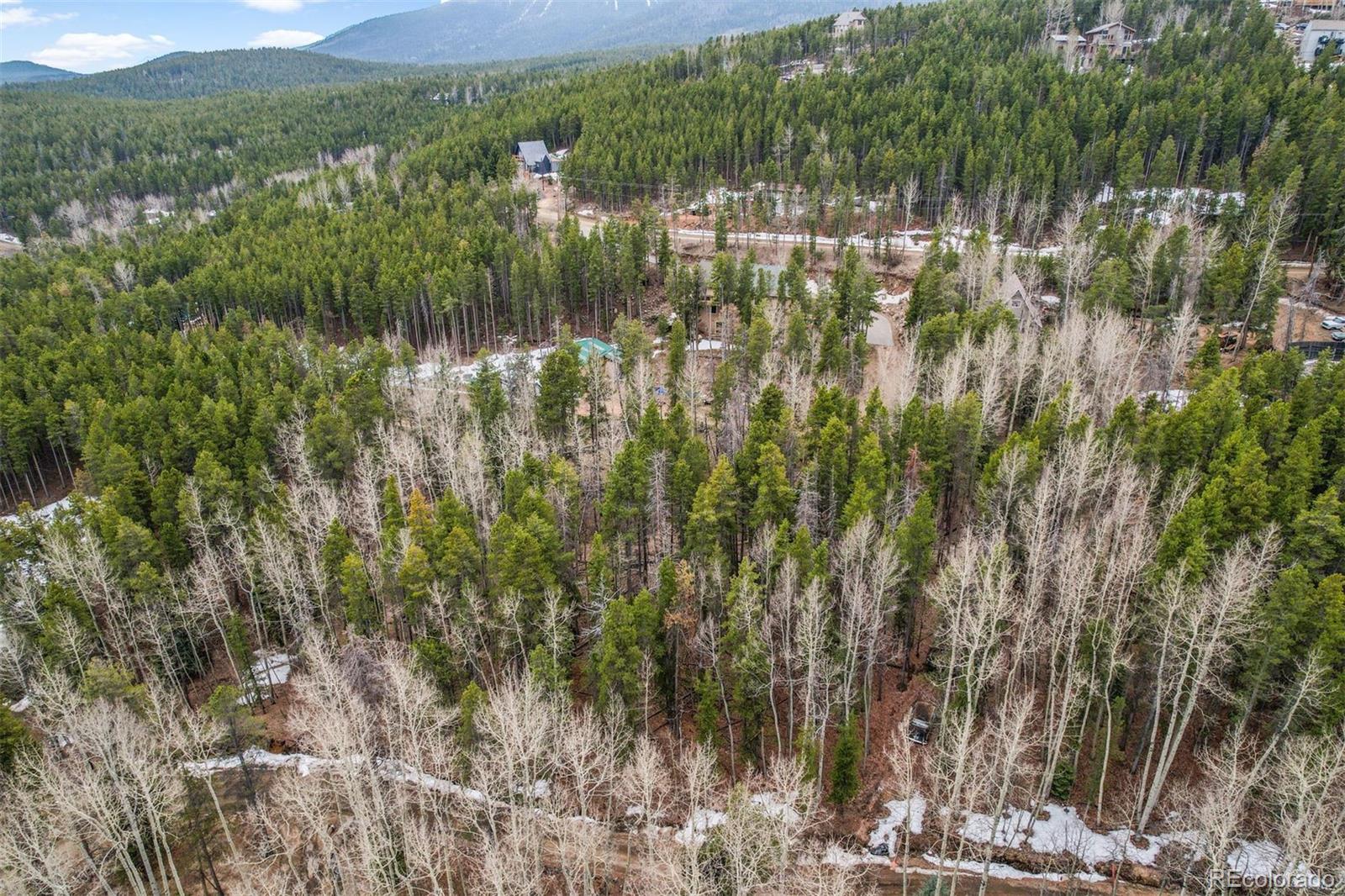 Ute Trail Evergreen, CO 80439 - Photo 8 of 16
