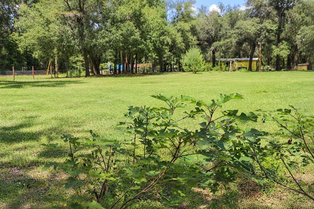 8231 Swan Lake Road Melrose, FL 32666 - Photo 18 of 18 Gallery Image 18