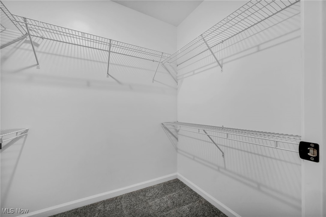 3734 Pennington Road Cleveland, OH 44120 - Photo 38 of 45 Walk in closet featuring dark colored carpet