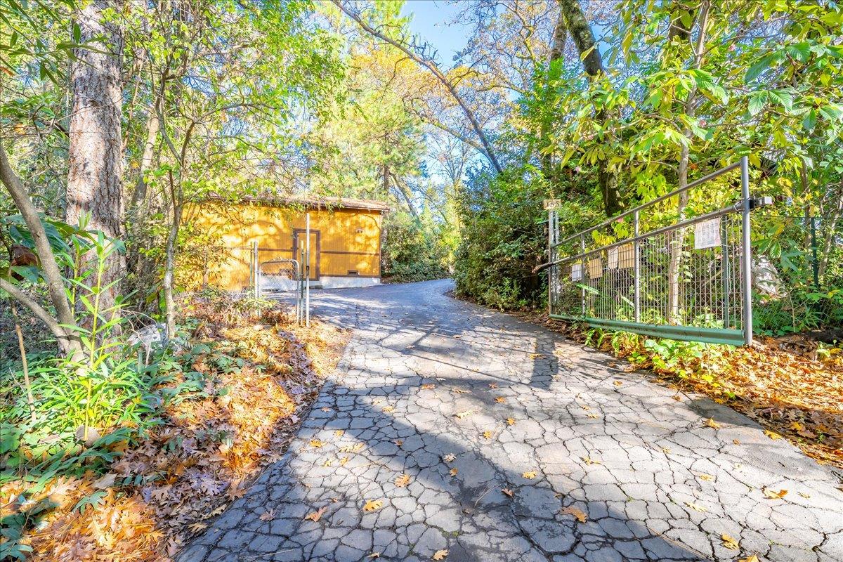 155 Pinewood Way Auburn, CA 95602 - Photo 69 of 92 a view of a yard with plants and large trees