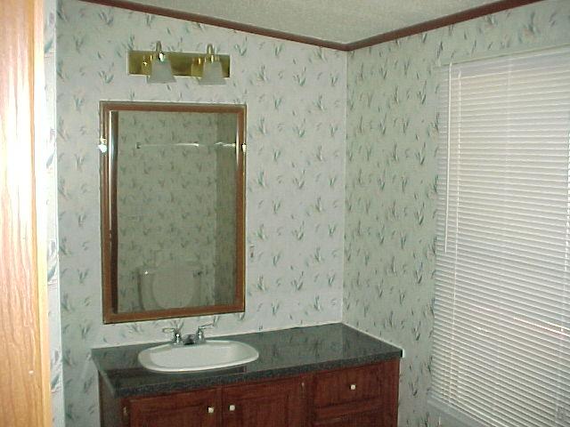 1611 Wildwood Road Salem, VA 24153 - Photo 4 of 6 a bathroom with a granite countertop sink a mirror and shower