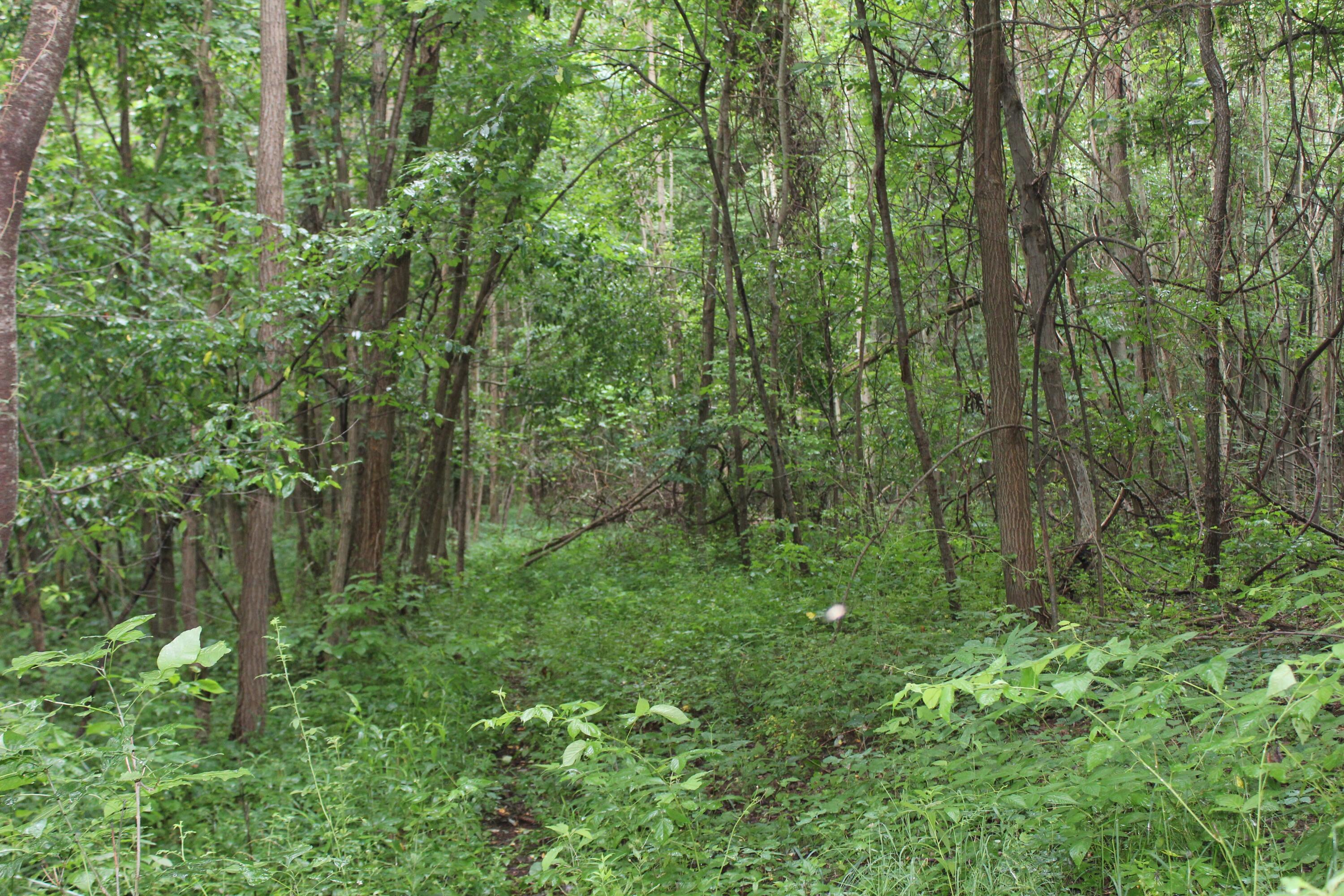 0 State Road Vermilion, OH 44089 - Photo 17 of 18 IMG_3456