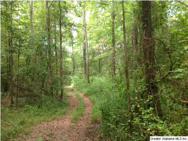 Mckay Road, Unit 16 Delta, AL 36258 - Photo 6 of 7