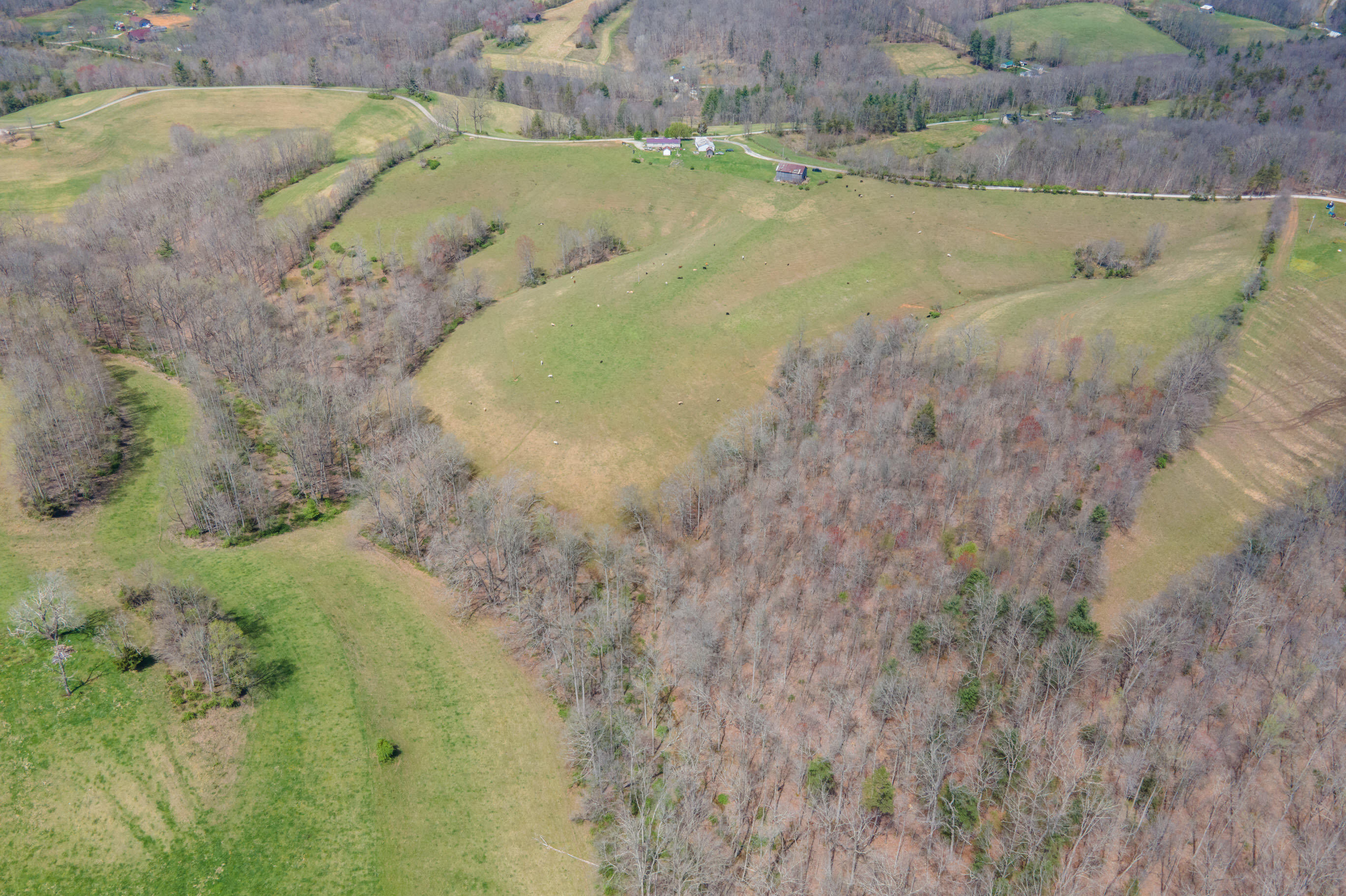 1211 Ebon Road Wellington, KY 40387 - Photo 6 of 8 20220414-35-Whites-Branch-Rd-davis-drone