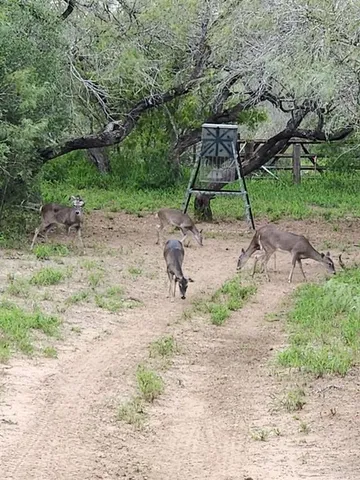 a backyard of a house with barbeque oven table and chairs