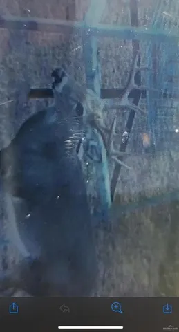 a view of a bathroom