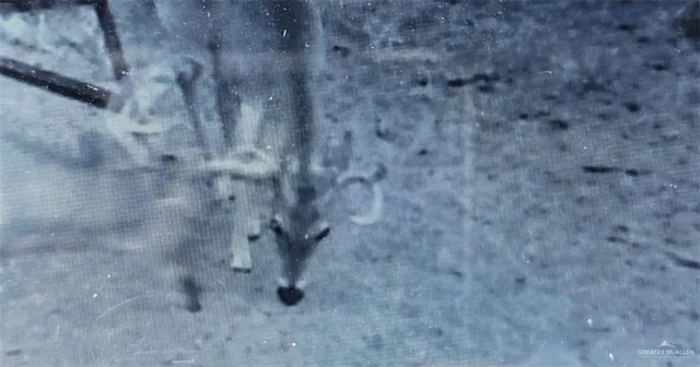 a close view of a bathroom shower