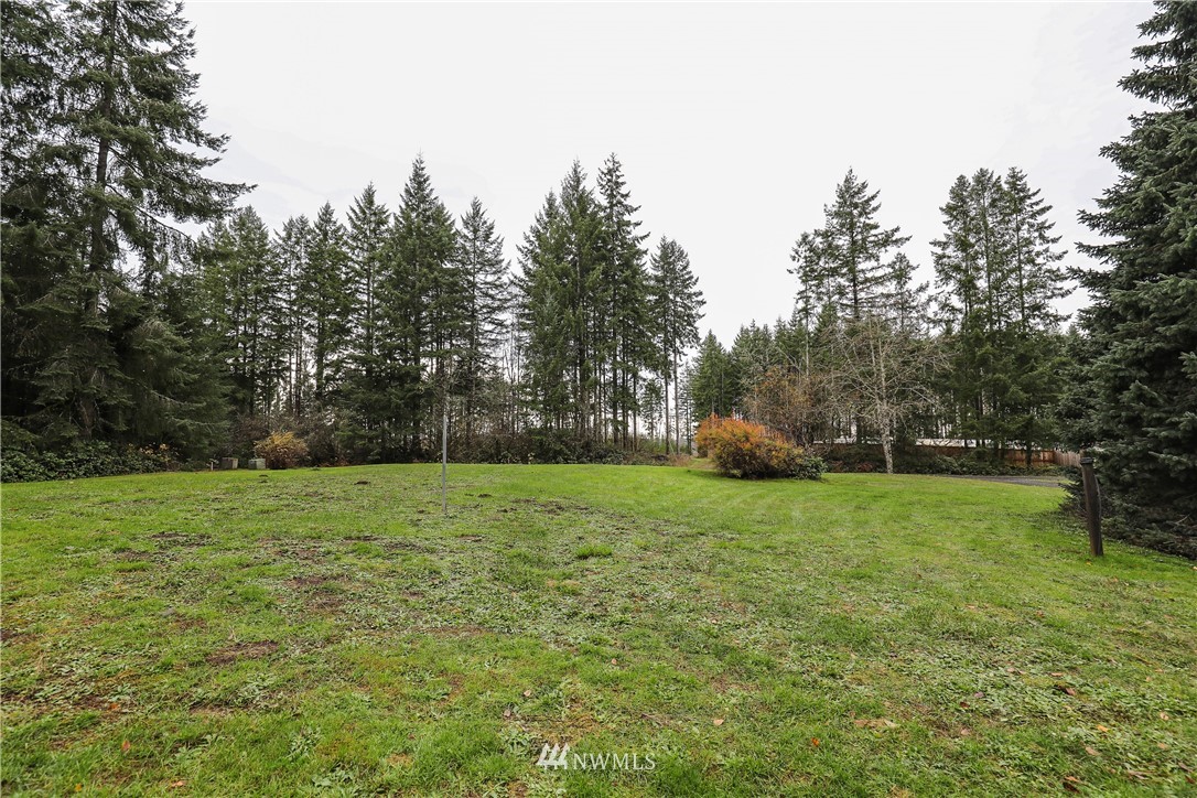 176 Palmer Road Napavine, WA 98532 - Photo 16 of 16 a view of outdoor space and yard