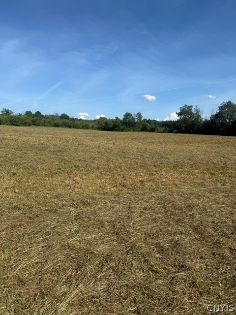 Townline Road Rome, NY 13440 - Photo 14 of 14