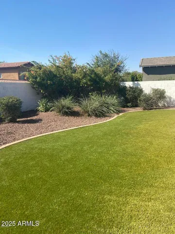 a park with large trees