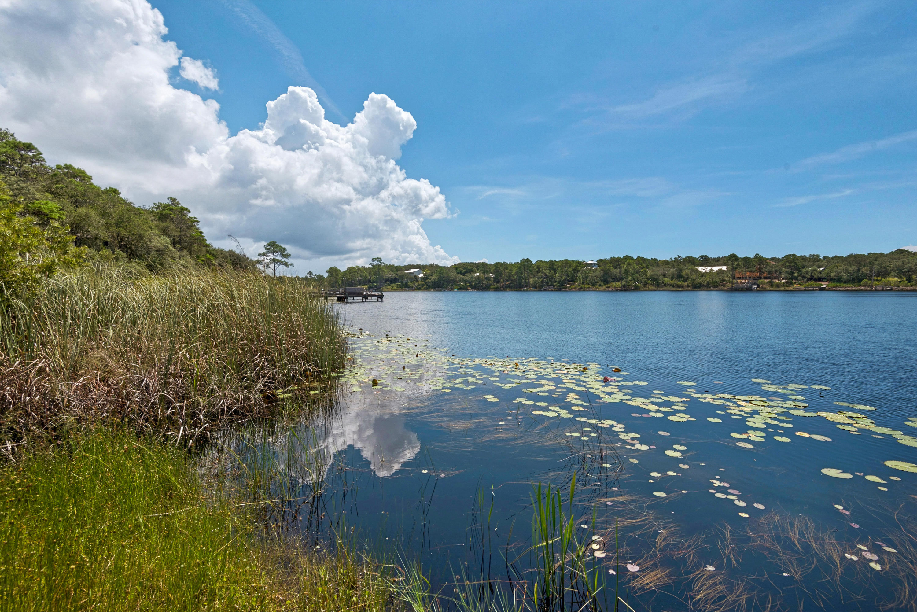 70 North Camp Creek Rd Inlet Beach, Unit 12 Inlet Beach, FL 32461 - Photo 14 of 42 Gallery Image 14