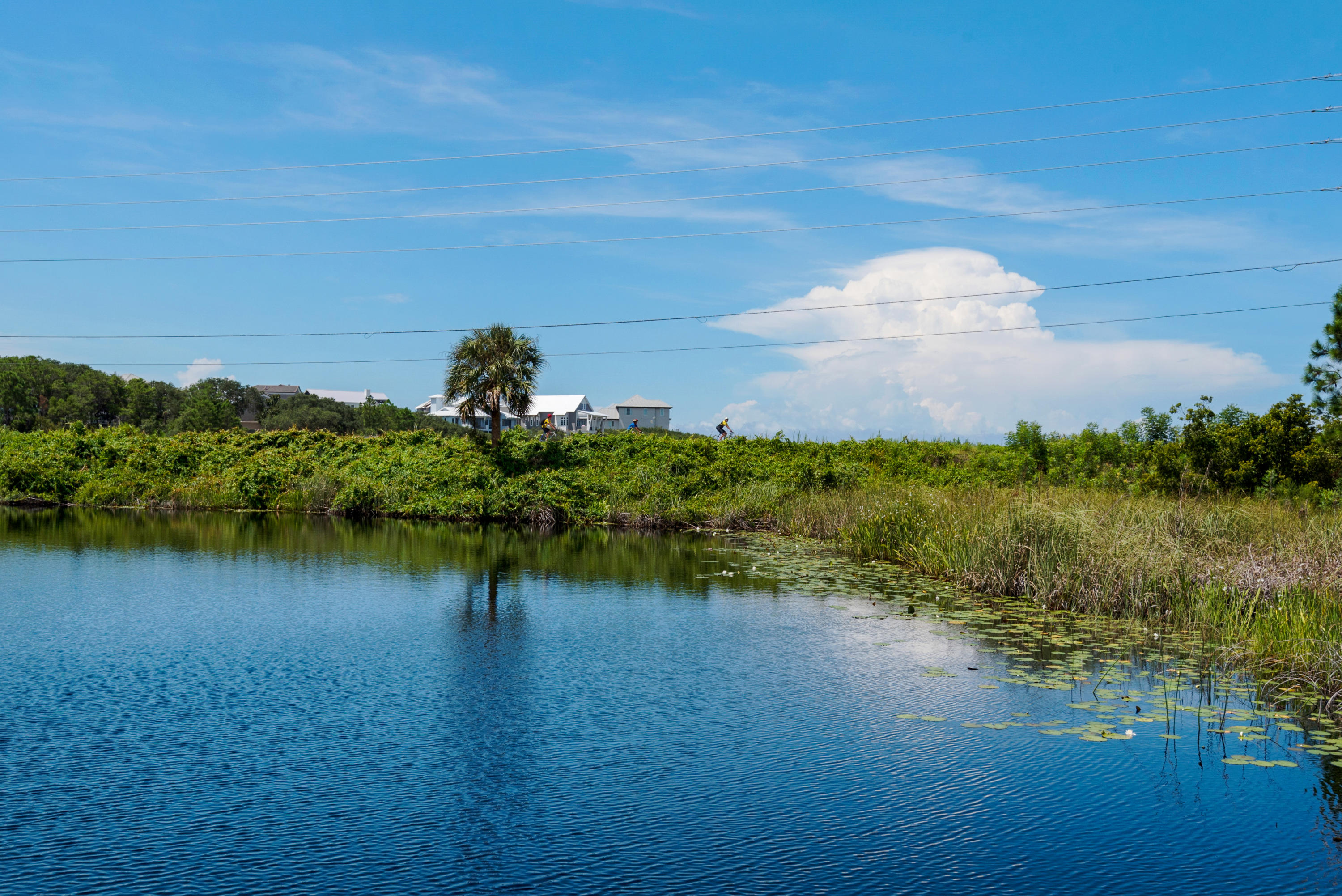 70 North Camp Creek Rd Inlet Beach, Unit 12 Inlet Beach, FL 32461 - Photo 16 of 42 Gallery Image 16