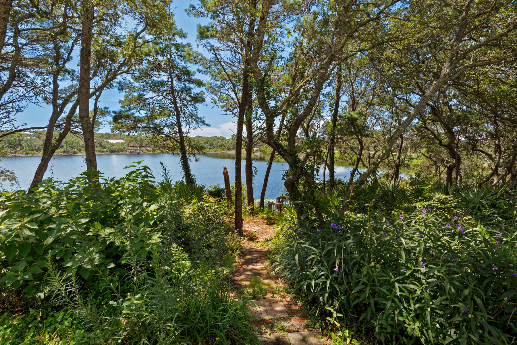 70 North Camp Creek Rd Inlet Beach, Unit 12 Inlet Beach, FL 32461 - Photo 7 of 42 Gallery Image 7