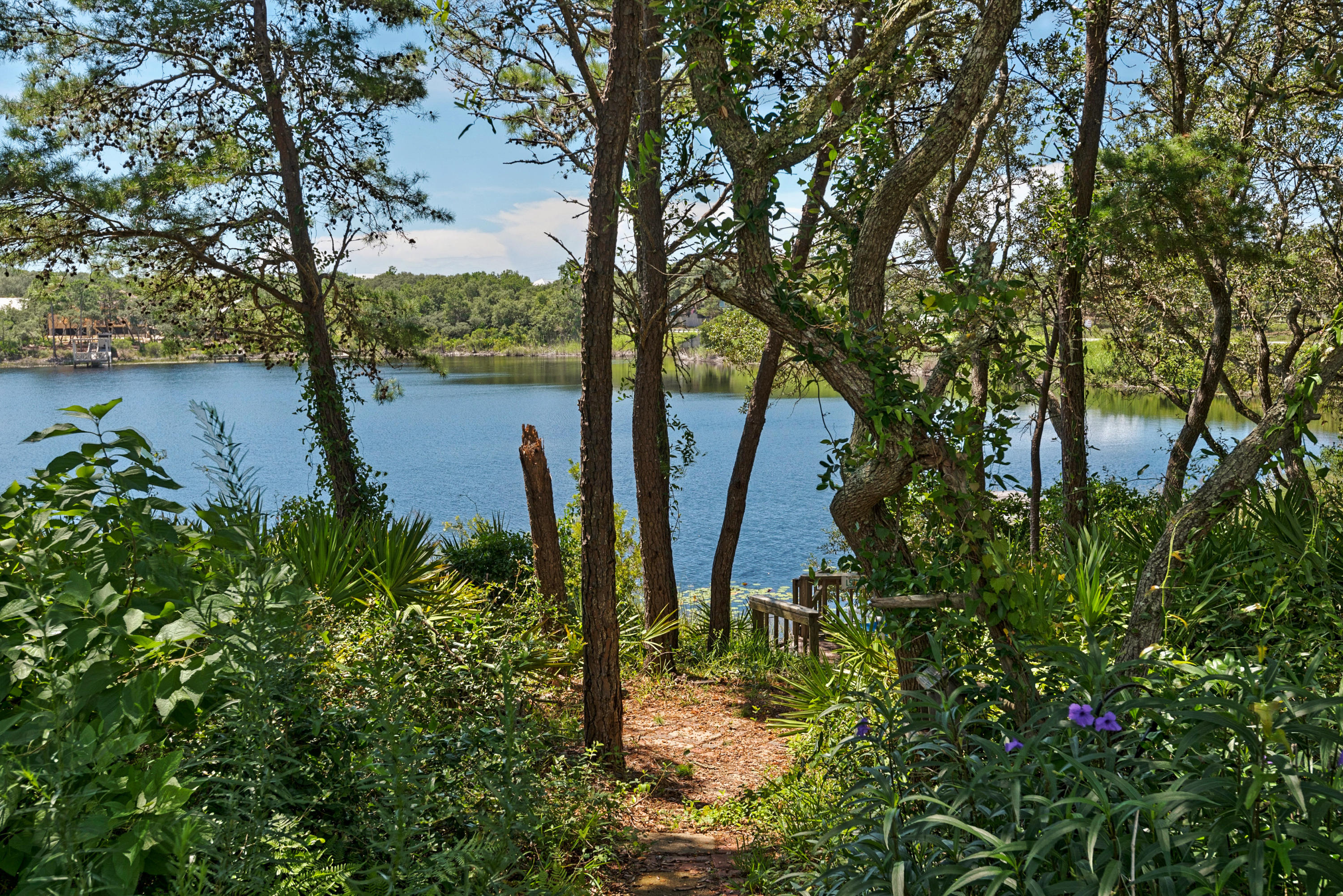 70 North Camp Creek Rd Inlet Beach, Unit 12 Inlet Beach, FL 32461 - Photo 8 of 42 Gallery Image 8