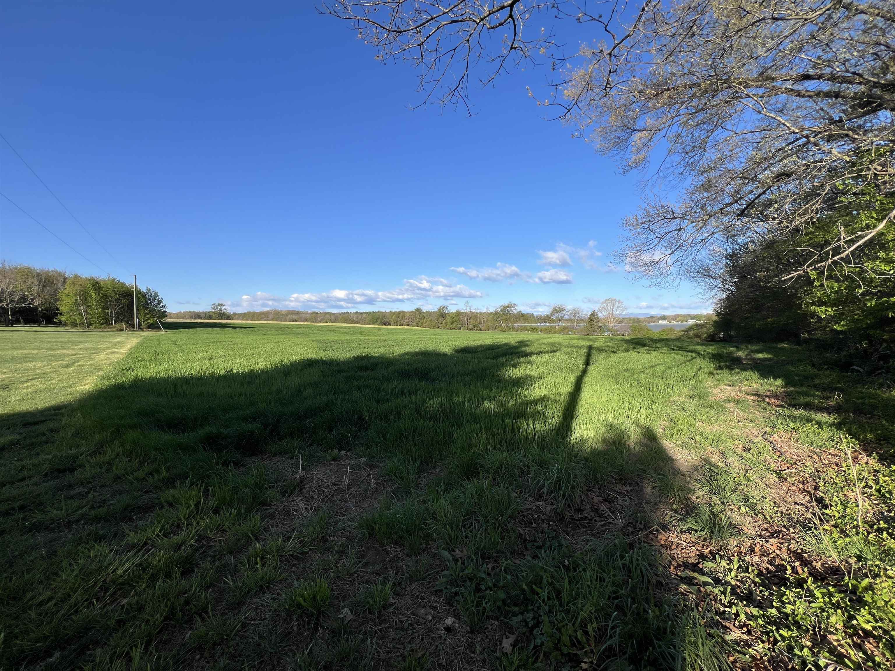 Tbd Morton Road Grottoes, VA 24441 - Photo 2 of 6 a view of a field with an trees
