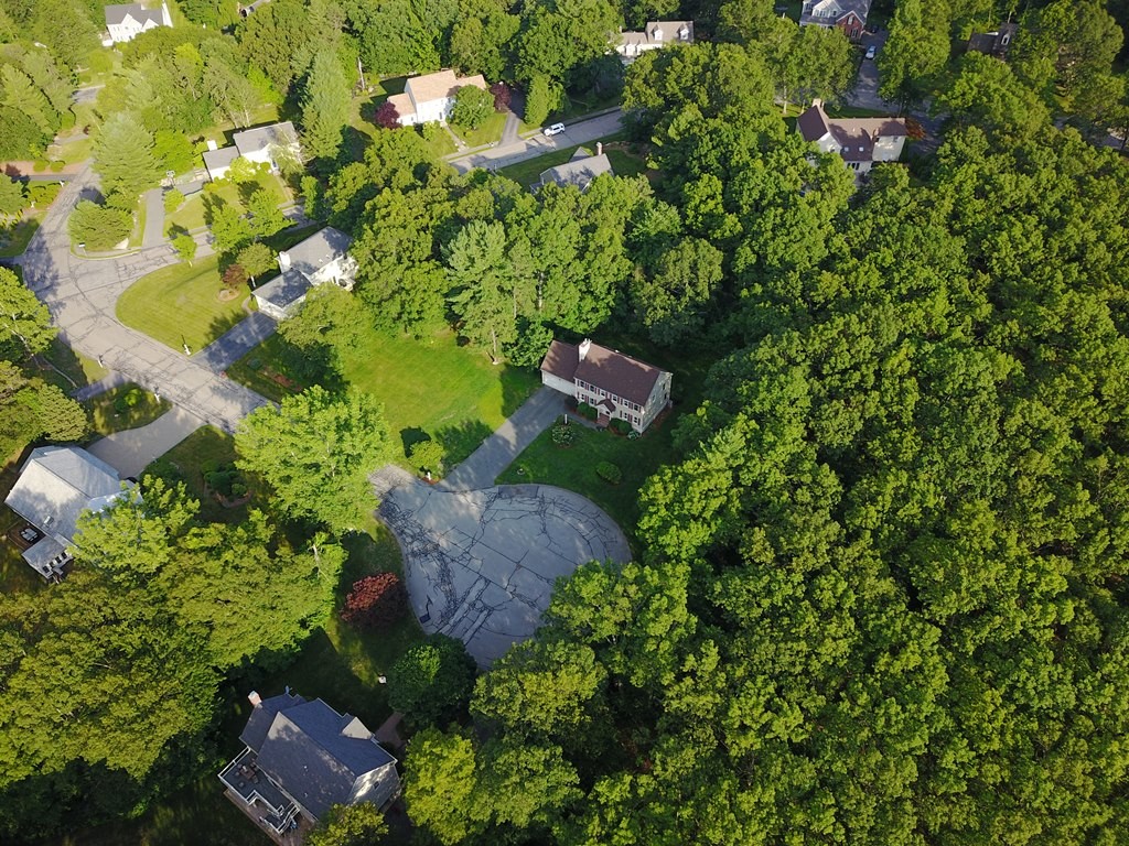 16 Cadorette Road Ashland, MA 01721 - Photo 29 of 29 a view of a tree with a flower in a garden