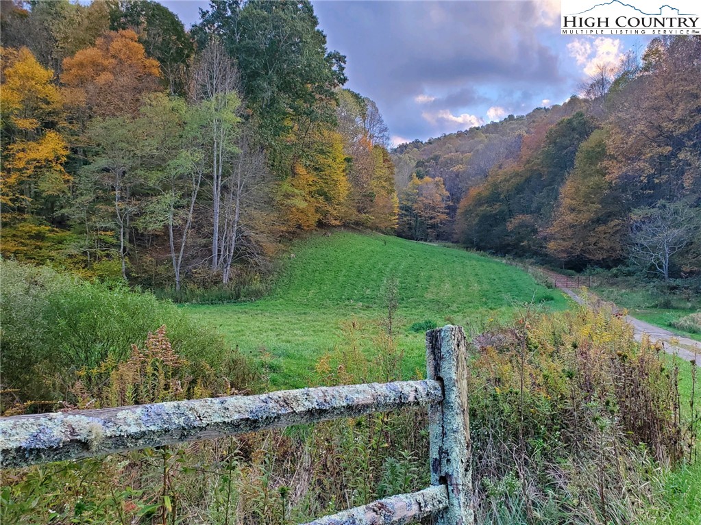 2137-2139 Little Laurel Road Creston, NC 28615 - Photo 1 of 49 a view of a garden with a pathway
