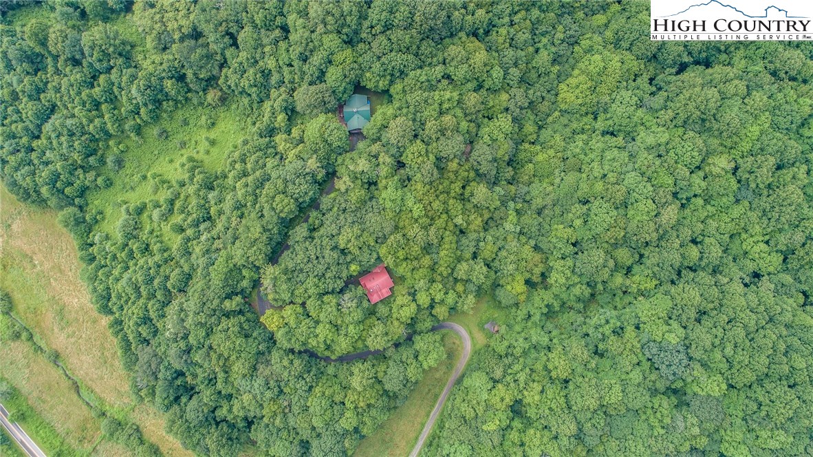 2137-2139 Little Laurel Road Creston, NC 28615 - Photo 45 of 49 a view of a bunch of trees and bushes