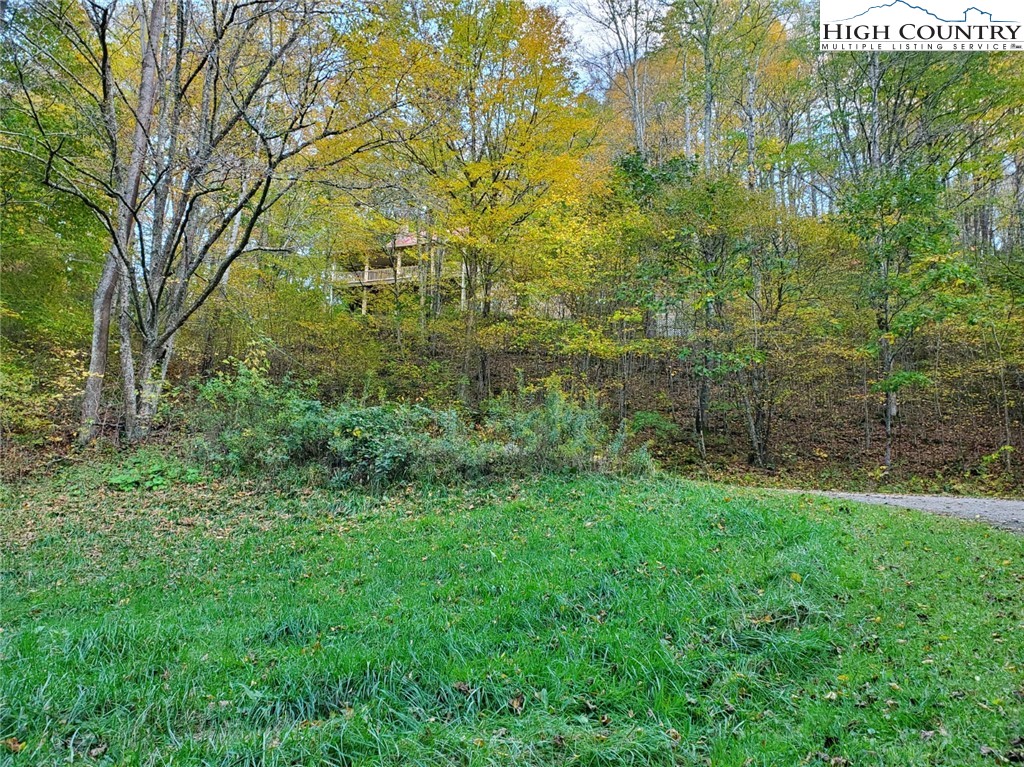 2137-2139 Little Laurel Road Creston, NC 28615 - Photo 47 of 49 a view of a garden with a building