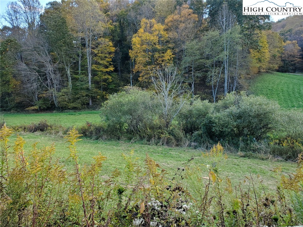 2137-2139 Little Laurel Road Creston, NC 28615 - Photo 48 of 49 a big yard with lots of green space and deers