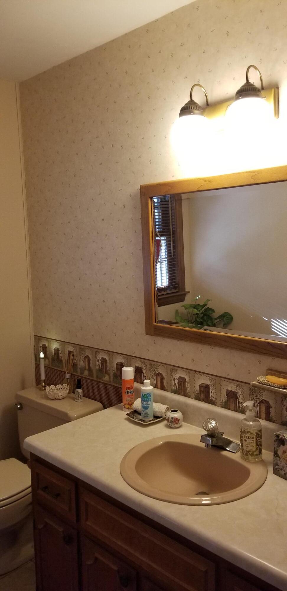 364 Sawmill Road Ferrum, VA 24088 - Photo 8 of 67 a bathroom with a sink and a toilet
