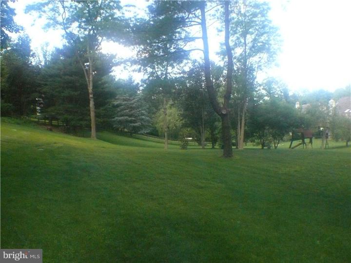 930 Merion Square Road Gladwyne, PA 19035 - Photo 17 of 22 Back Yard