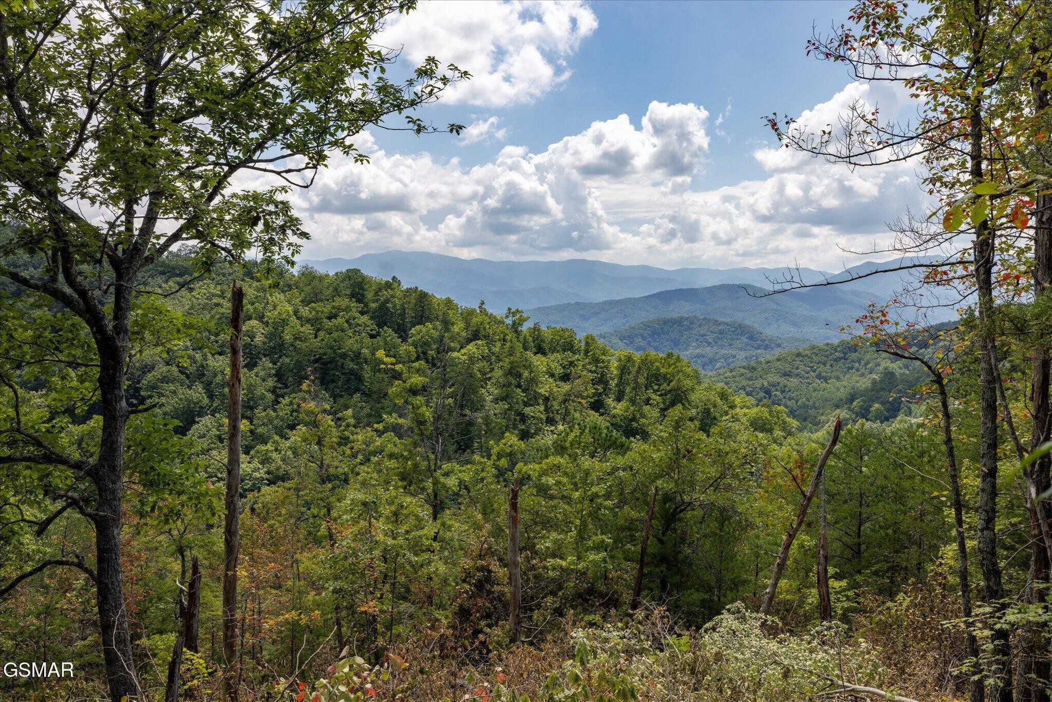 1080 Hembree Hollow Road Townsend, TN 37882 - Photo 10 of 21 Gallery Image 10