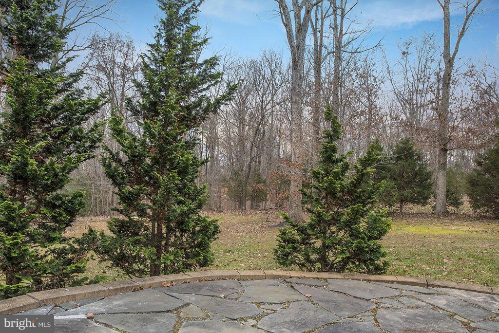 690 Mitchell Point Road Mineral, VA 23117 - Photo 8 of 29 Exterior (Rear)