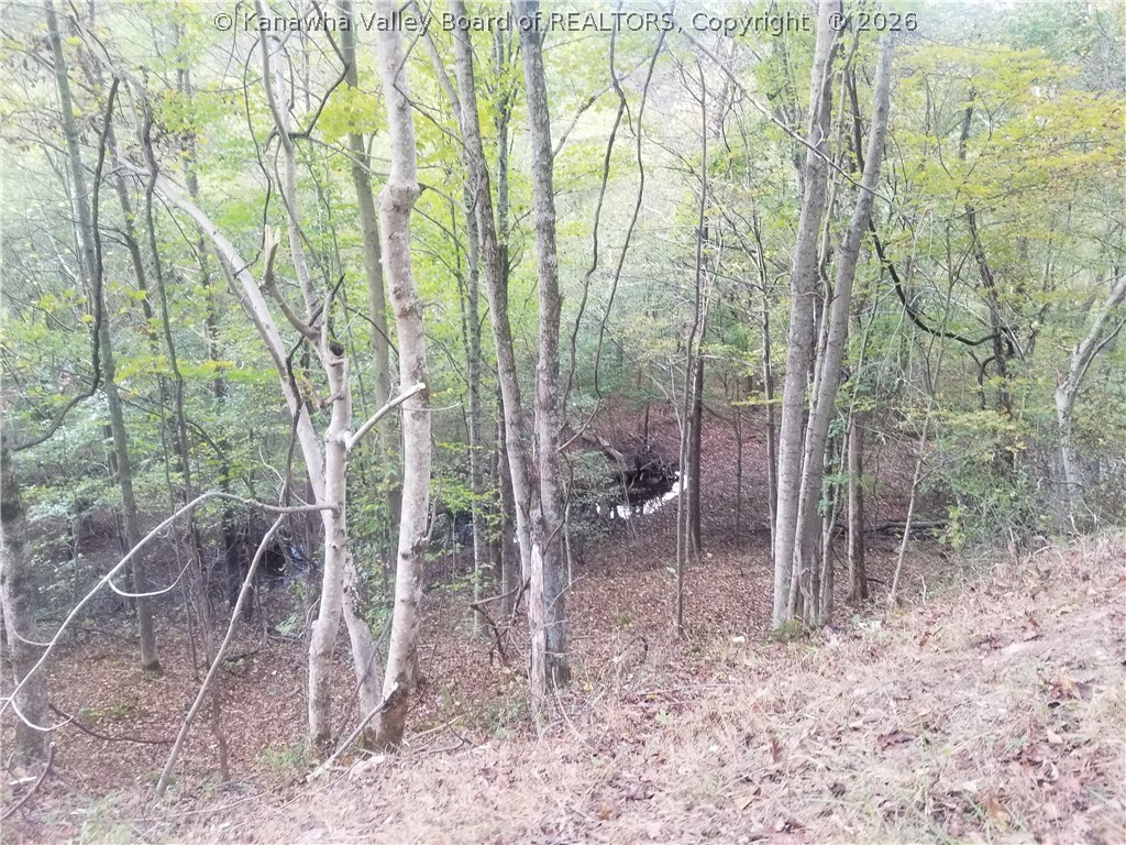 0 Rt 5/19 Le Roy, WV 25252 - Photo 3 of 8 Gallery Image 3
