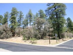 0 Valley Ranch Circle Prescott, AZ 86303 - Photo 1 of 2 Primary Photo