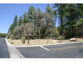 0 Valley Ranch Circle Prescott, AZ 86303 - Photo 2 of 2 Additional Photo