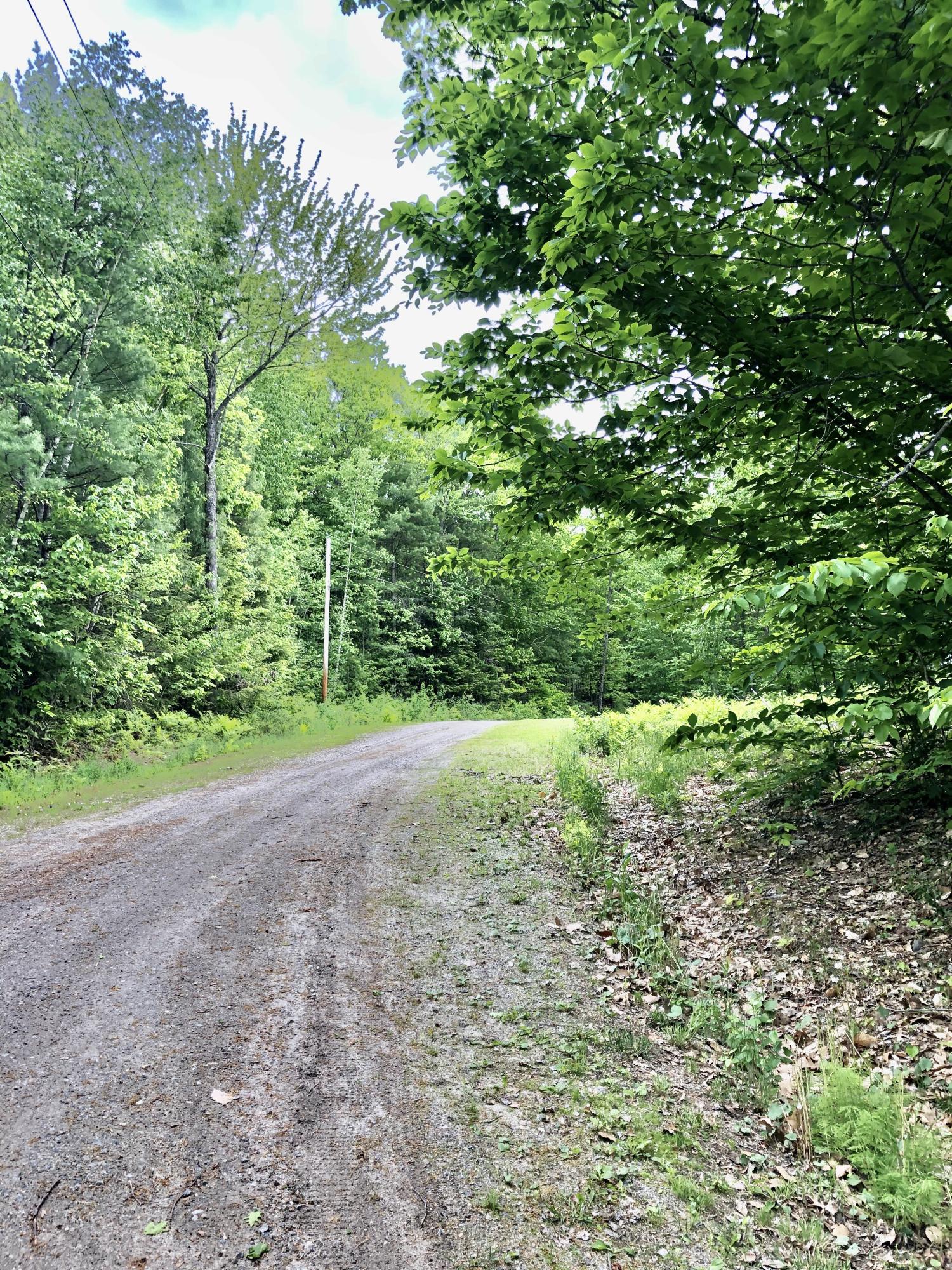 428 Black Mountain Road Harrison, ME 04040 - Photo 7 of 49 driveway
