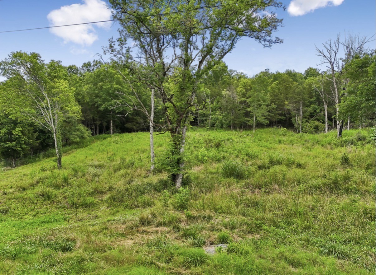 97 Redd Branch Road Fayetteville, TN 37334 - Photo 11 of 11