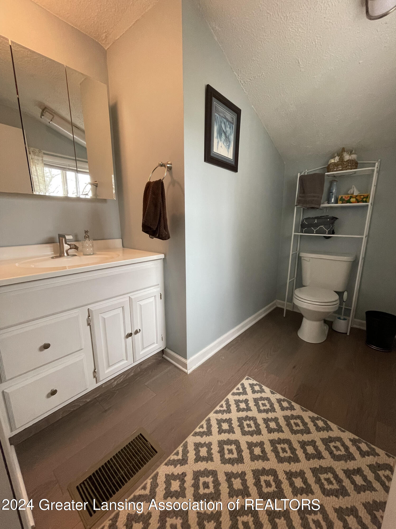 207 East Washington Street Dimondale, MI 48821 - Photo 20 of 41 Master bath (1)