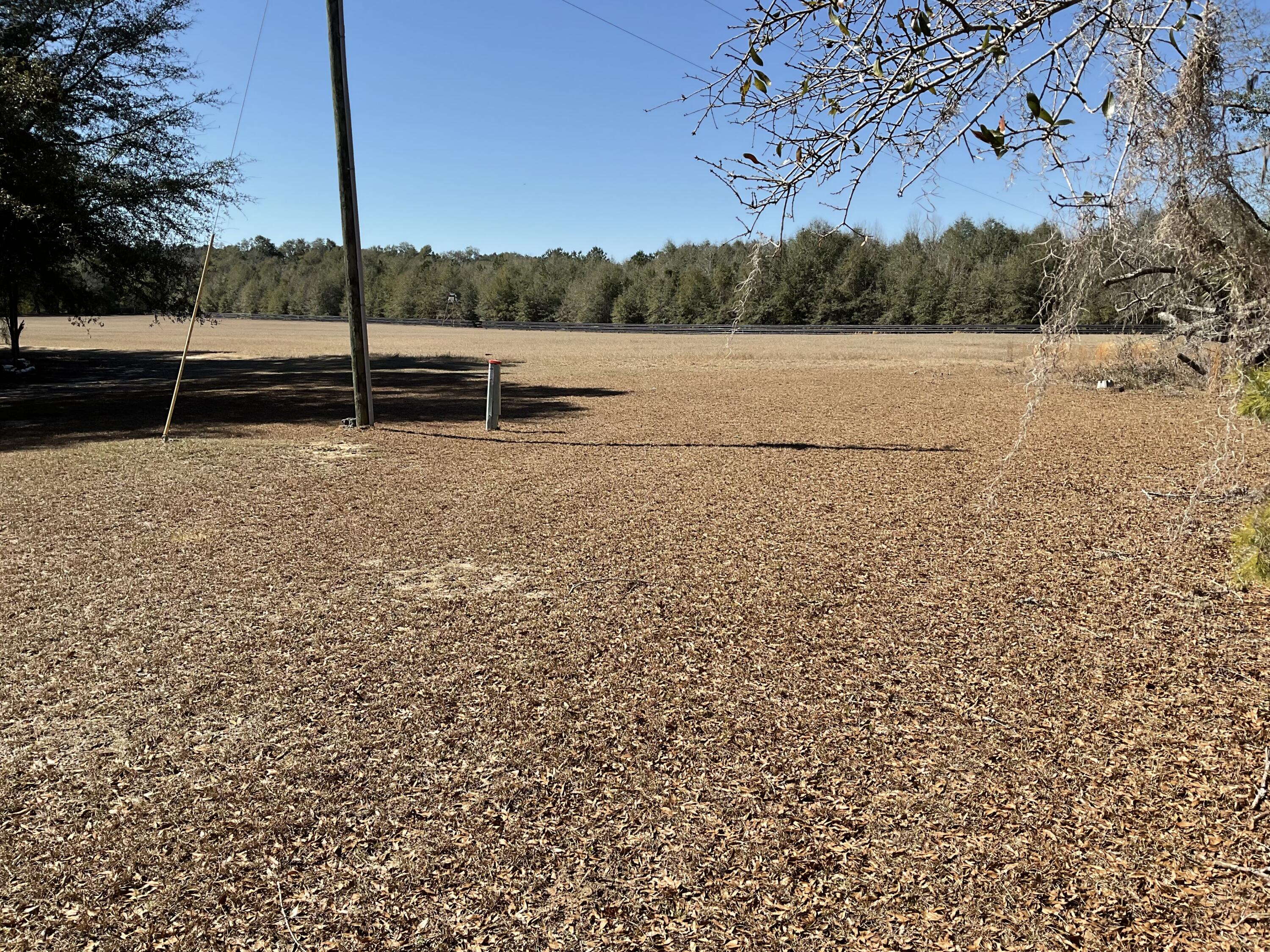1114 Lott Bluff Road Blackville, SC 29817 - Photo 153 of 164