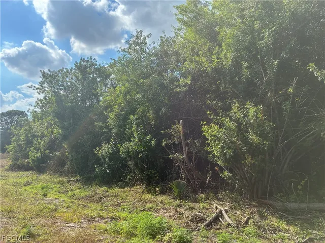 $32,500 | 770 North Brida Street, Clewiston, FL 33440